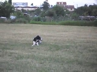 Kirov, 22/07/2010 _3