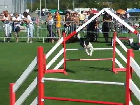 Cayenne Jump Finale trophée par équipe 2010