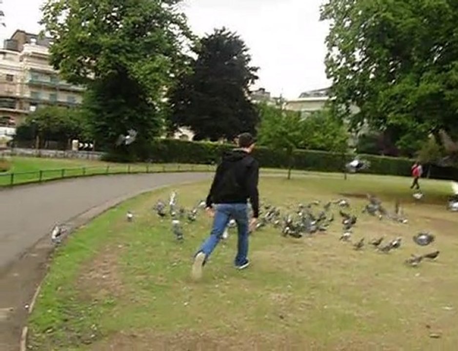Londres et les pigeons Slow Motion