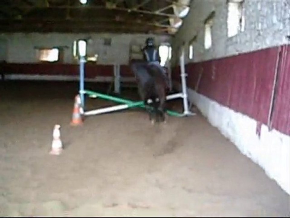 Saut