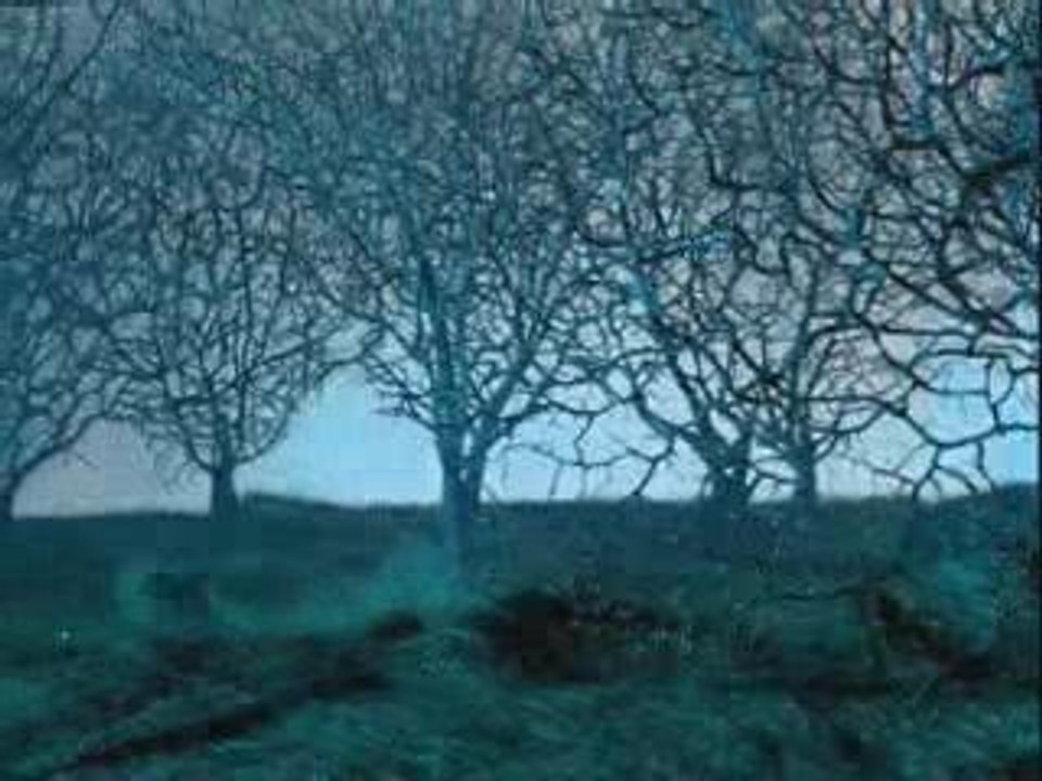 Devendra Banhart - A Ribbon