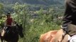 Randonnée à cheval Ariège Pyrénées avec Les longues pistes