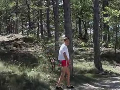 Forêt de Saint Etienne les Orgues
