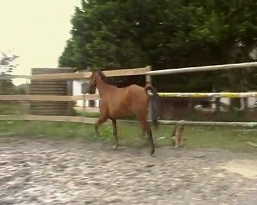 Titan de Quiesce