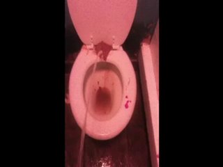 worst toilets ever