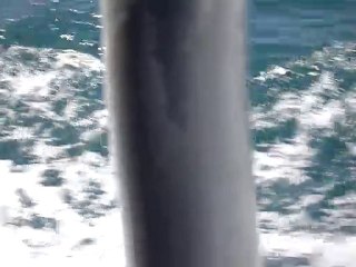 Balade sur un bateau à moteur