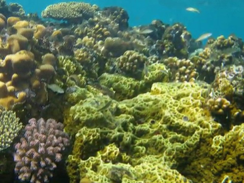 18112008_unterwasser