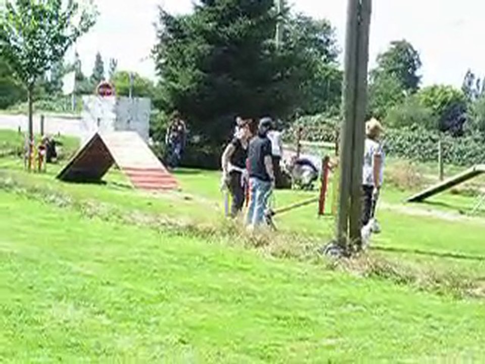 fenril au dressage 4