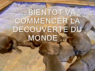 LES TITIS ONT UN MOIS