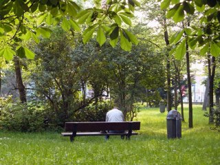 dans mon jardin   texte  de  Arnault   Christian