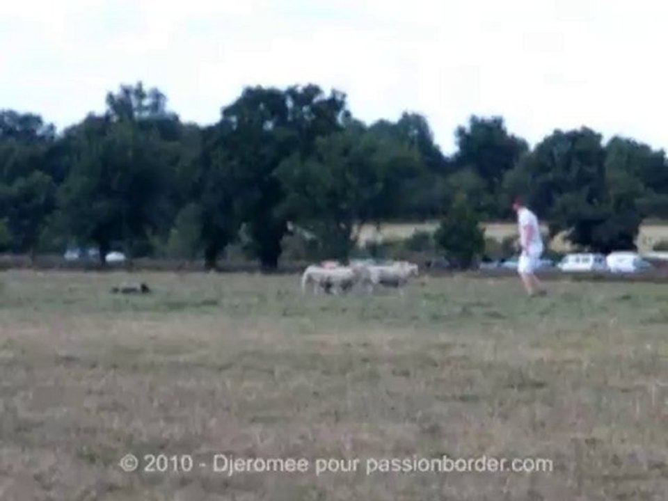 Continental Sheepdog Championship 2010 - Pascal Bourdon