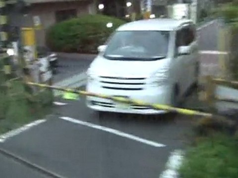 1/127000000の「宵花火」動画100821その１