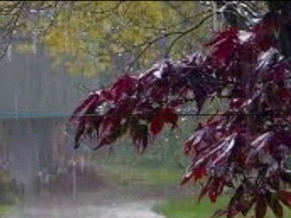 SABAHAT AKKİRAZ-GEMİ