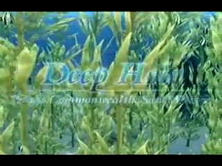 Endless Ocean Blue World Review