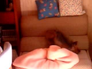 Opium Après sa Douche