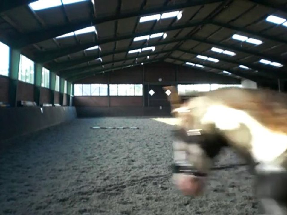 Emma - Gebissloses Reiten