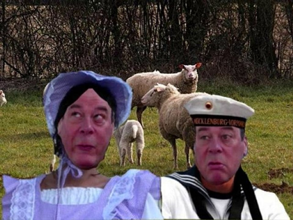 Michel Anceau " Le mou mousse ameureux "