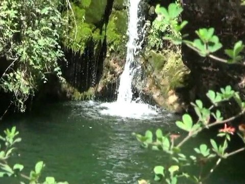 TORRELLES DE FOIX, Alt Penedés Aqui cocinamos todos