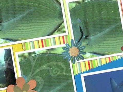 Plongée à Hyères / Eté 2010