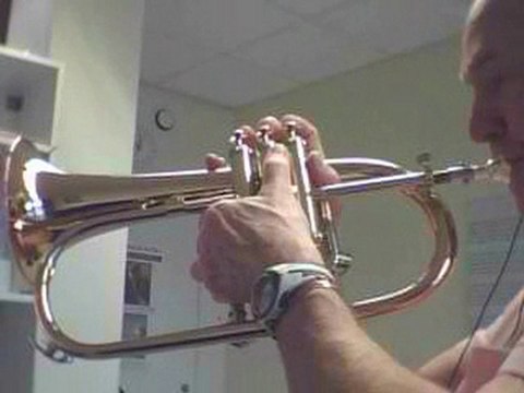 Ballad BODY AND SOUL ; Johnny D Bergh on Flugelhorn!!!!