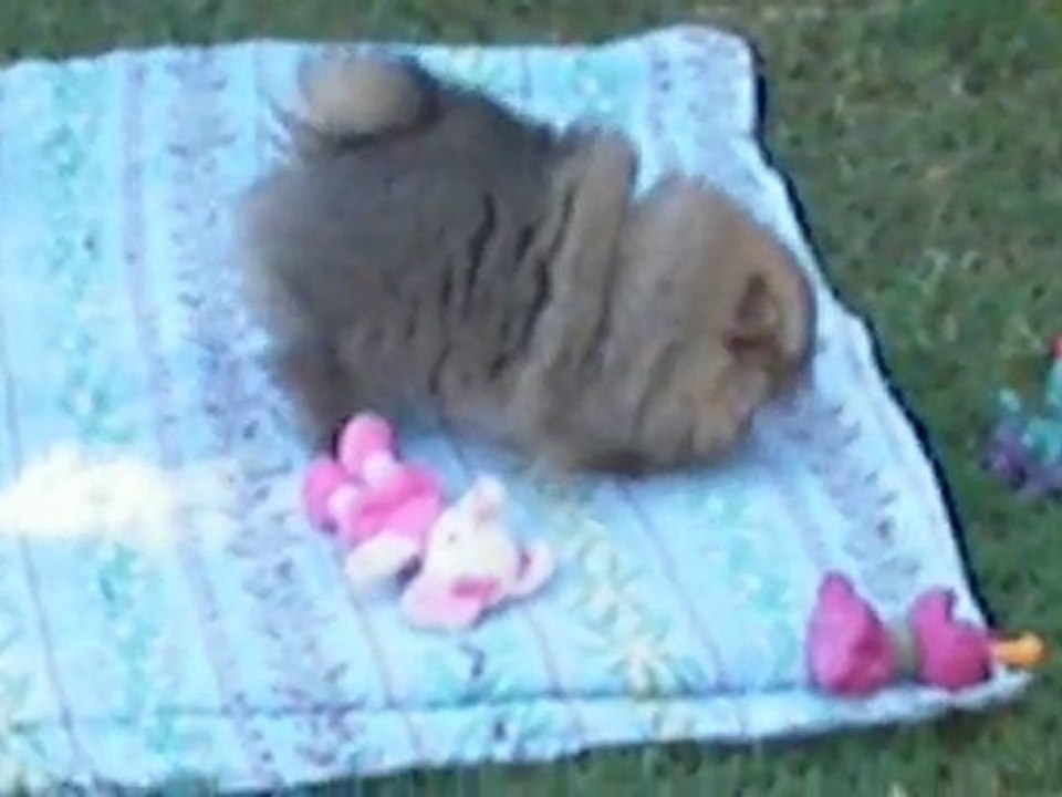 mes bbs2  29 aout 2010