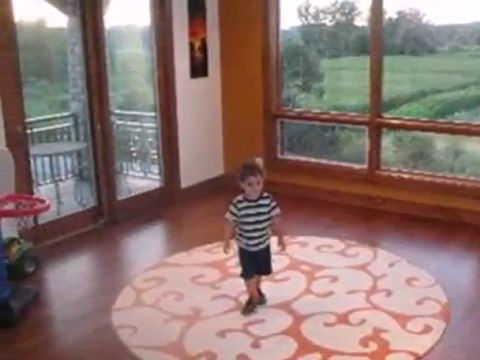 Homes for Sale - 15501 113th Ave - Orland Park, IL 60467 - C