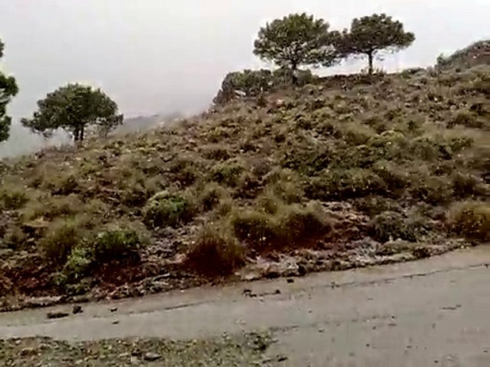 NIEVE EN ESTEPONA - MÁLAGA - COSTA DEL SOL - https://www.jardineromarbella.com