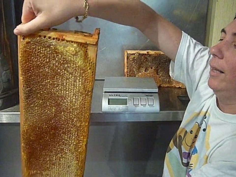 Cadre de miel Geant !!!  Record 3,470 Kg   Le defi est lancé