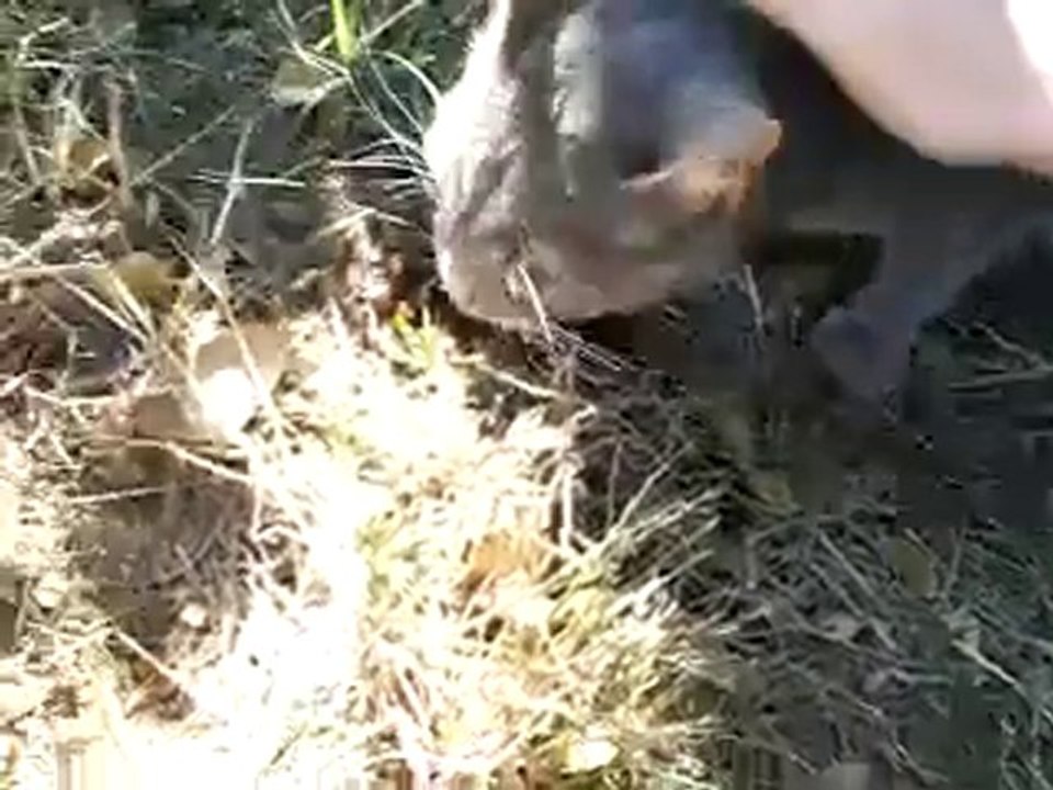 Léonard 29 Aout 2010