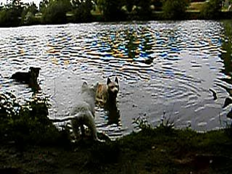 Baika jimi et ares 19 juillet 2006