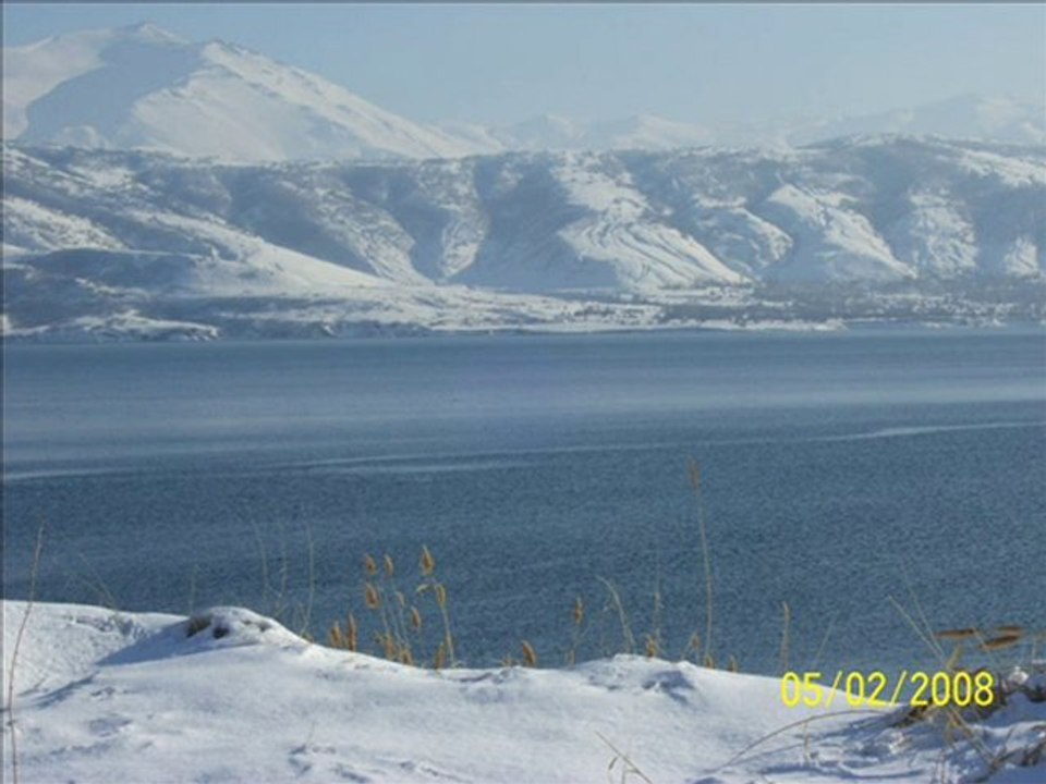 Serhat Dayan (AmcaOgulları)