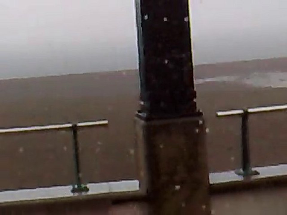 Temporal en Estepona - www.jardineroestepona.com