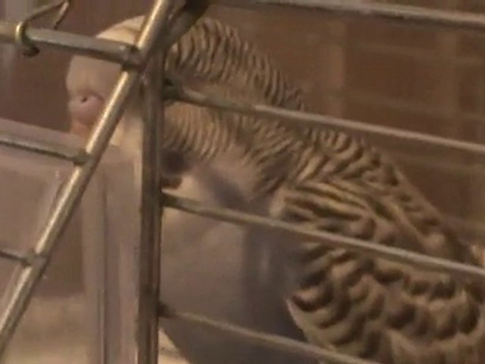 Ailemizin Yeni Üyesi Minik Bebişimiz