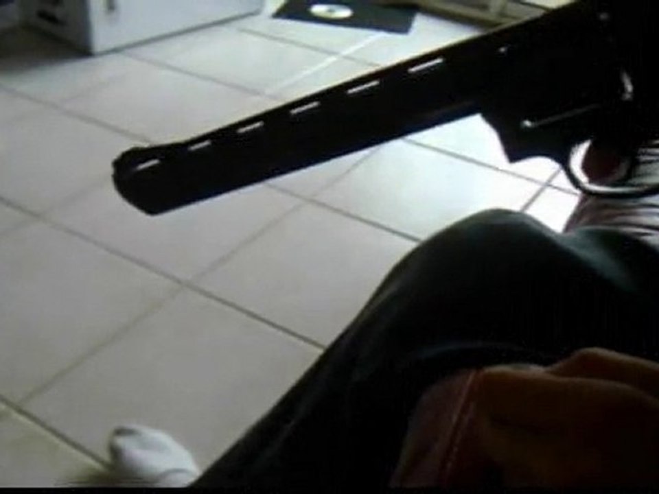 Test Dan Wesson 8"
