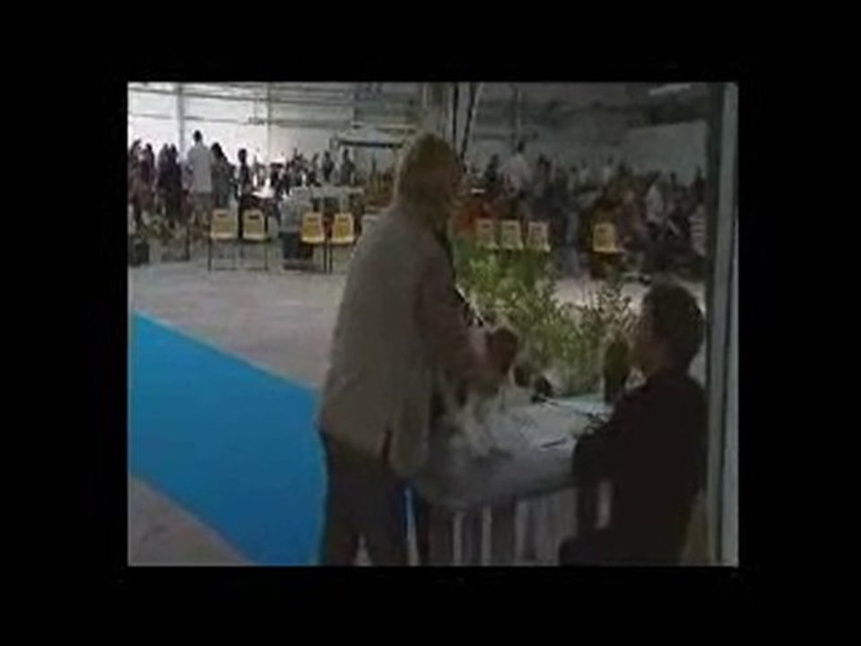 Exposition de la Roche sur Foron le 28 Aout 2010.