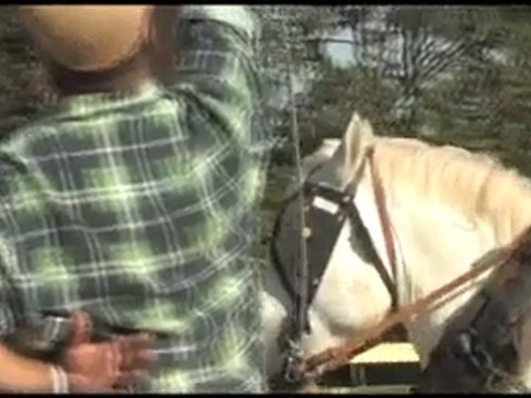 Les Pennes Mirabeau- La fête des moissons 2010