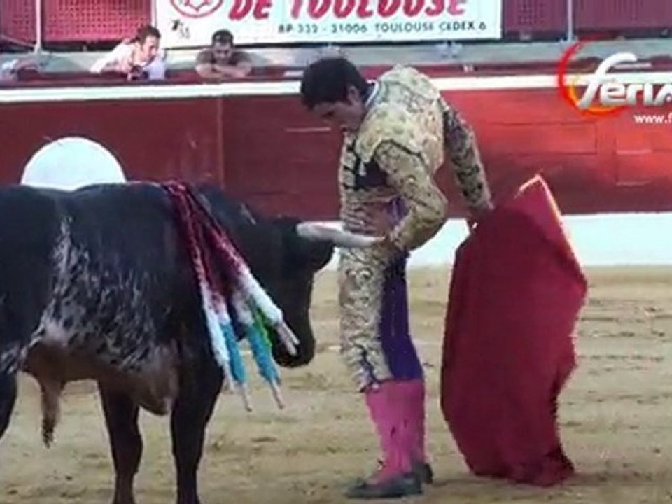 NOVILLADA DE ST PERDON : THOMAS DUFAU