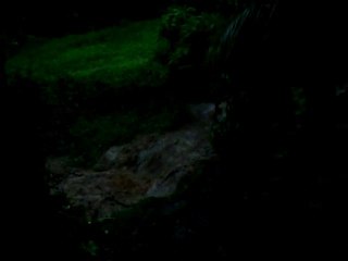 Le cyclone earl a Deshaies