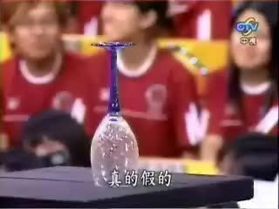 brise verre japonais