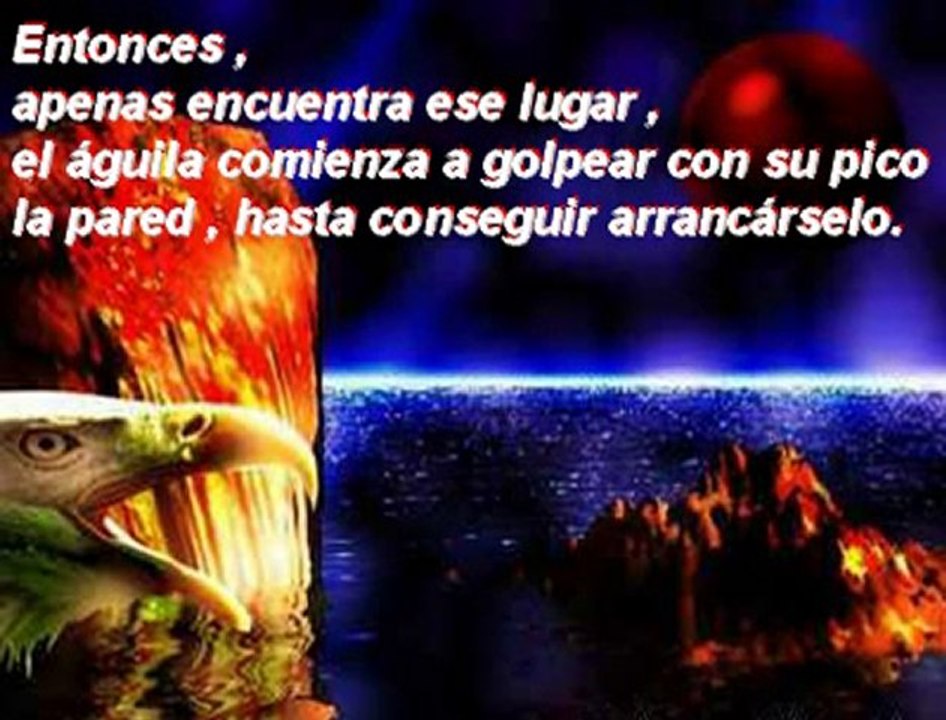 RENOVACIÓN