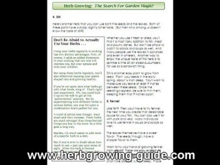 A Glimpse to Backyard Herb Growing Guide Ebook
