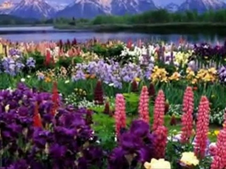 Hayati Inanç - Hep Arzularsin [Niyazi Mısri]