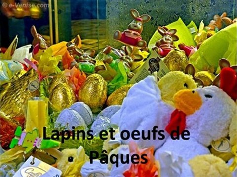 vidéos des animations de l'année 2009-2010