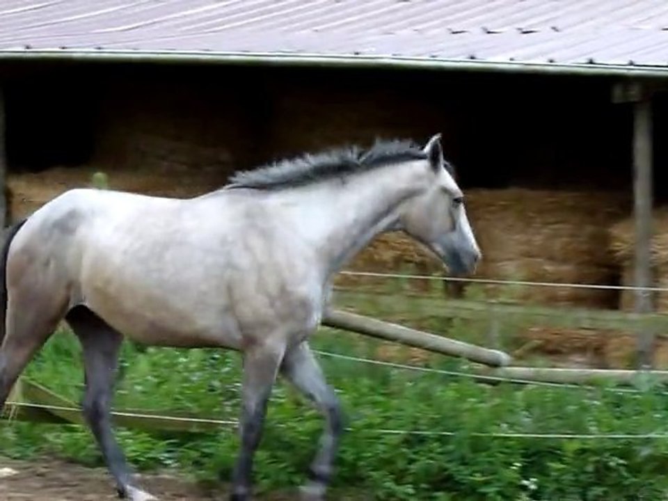 Urikan le 29.08.10 (2)