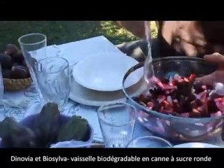 La vaisselle écologique et biodégradable : www.dinovia.fr