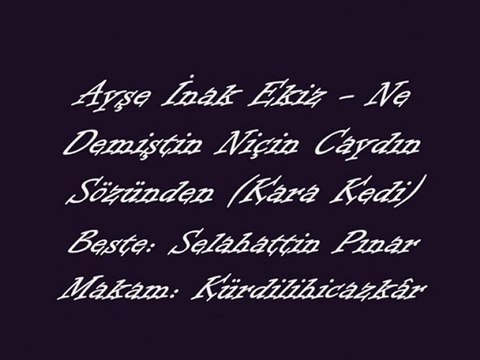 Ayşe İnak Ekiz-Ne Demiştin Niçin Caydın Sözünden (Kara Kedi)
