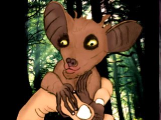 Compile de mes dessins