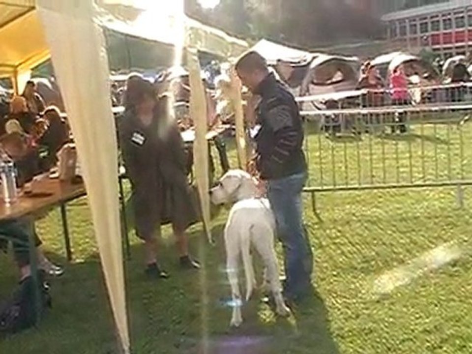 expo diego dogue argentin