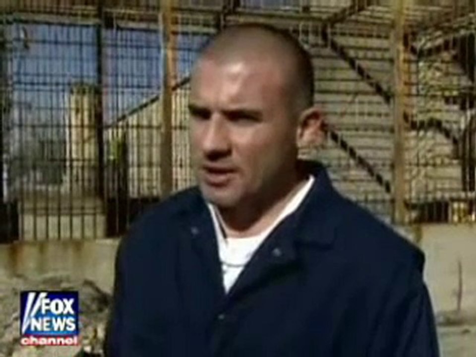 Prison Break S1 Cast Interviews on Fox News