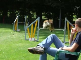 Freezby open vast hond en gezel Brugge